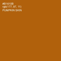 #B1610B - Pumpkin Skin Color Image